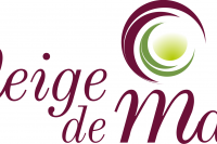 Logo Neige de Man